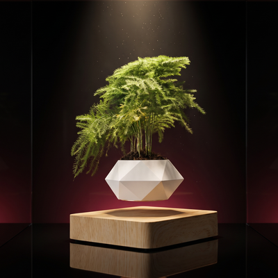 Levitating Planter