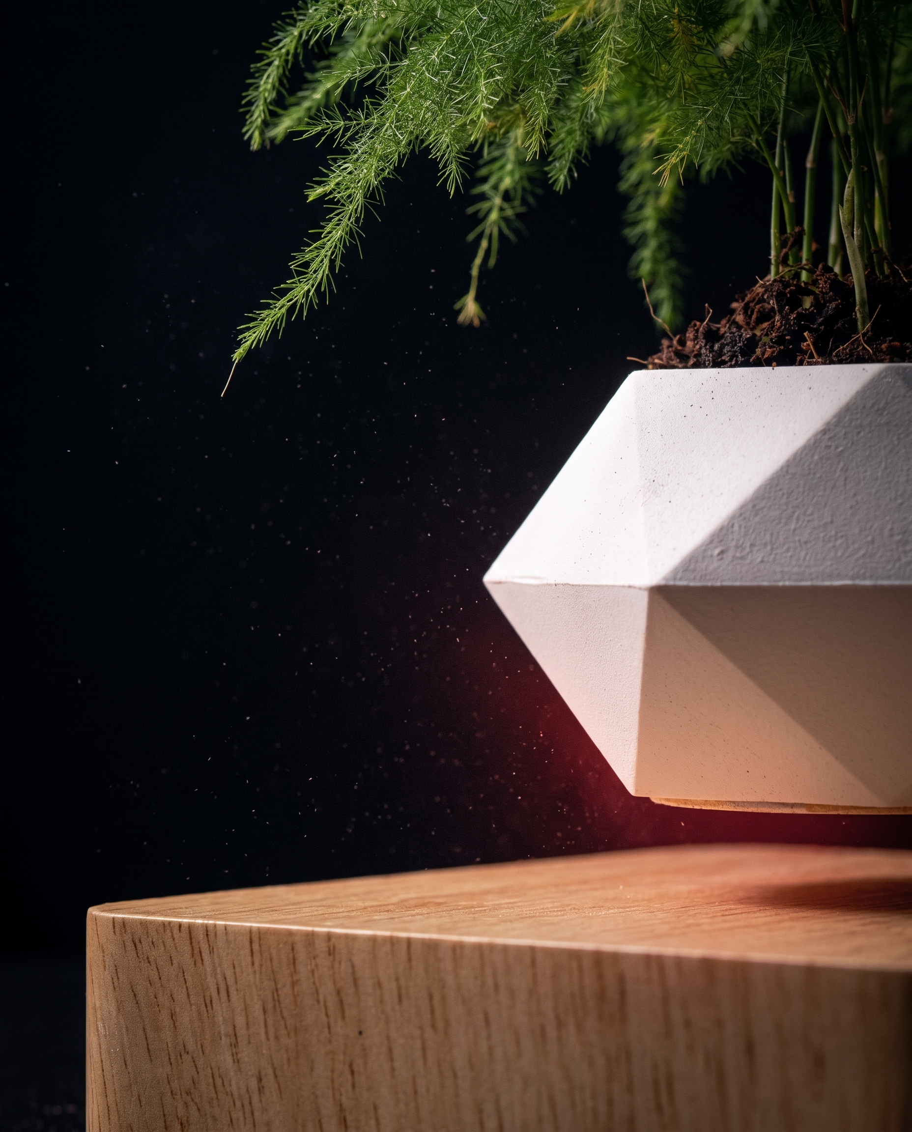 Levitating Planter