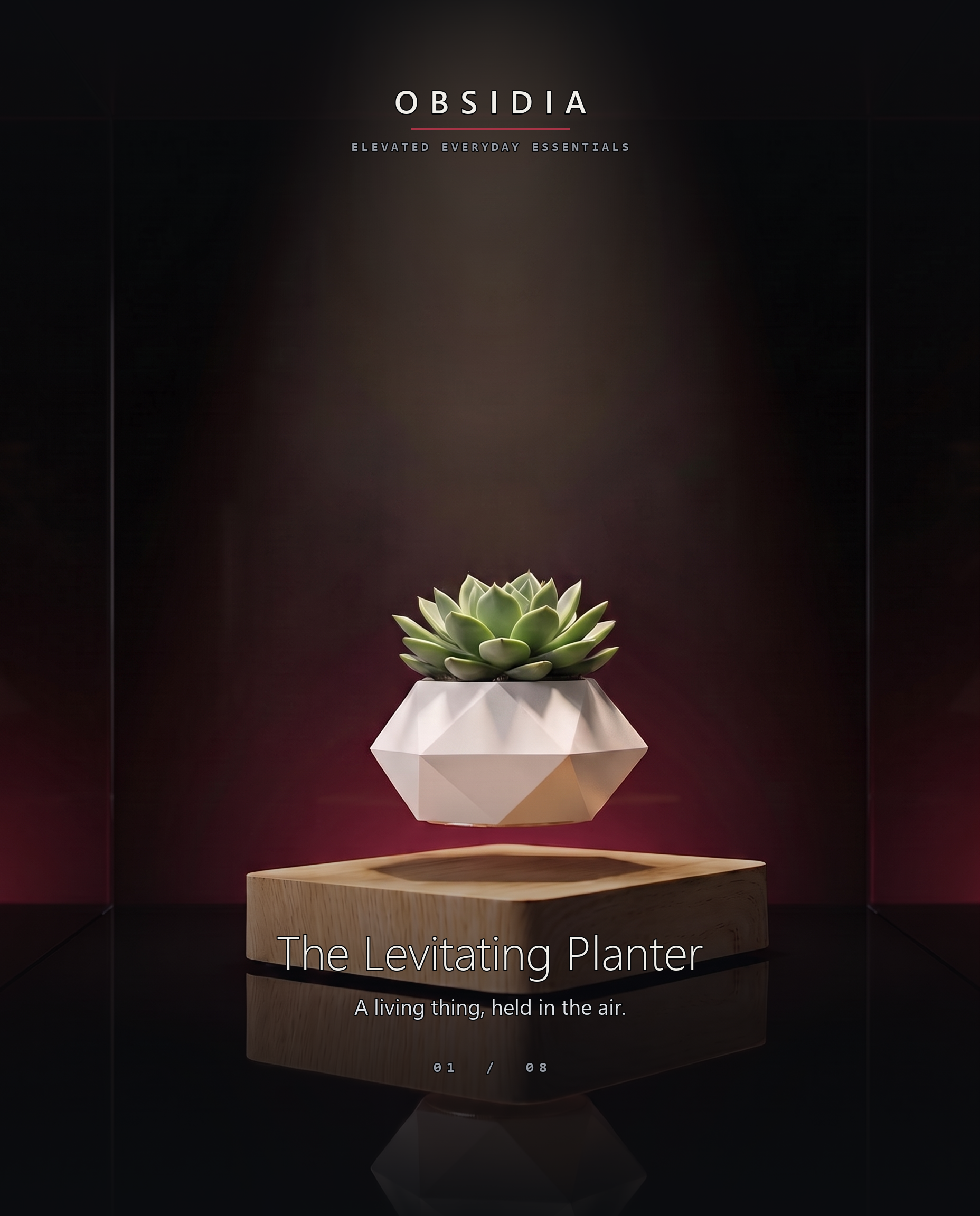 Levitating Planter