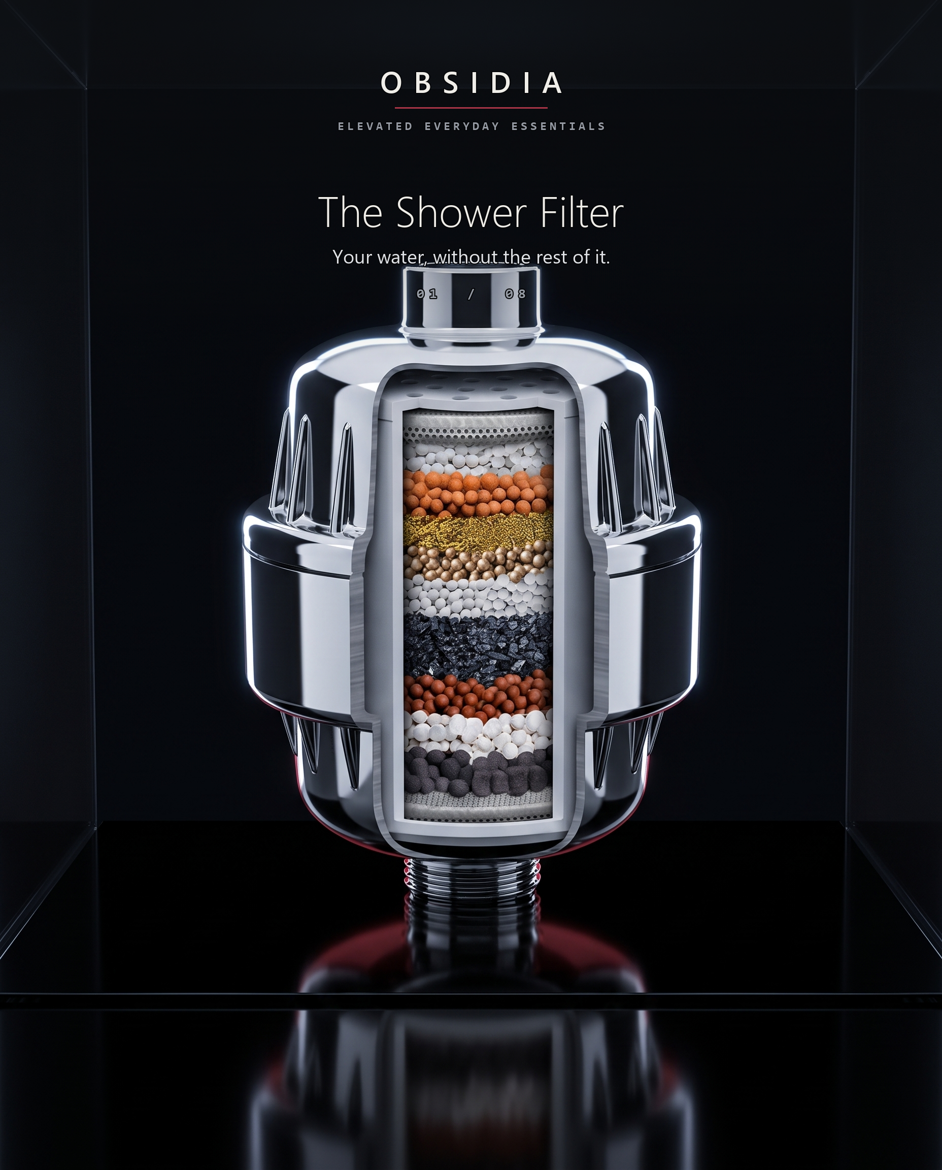 Shower Filter